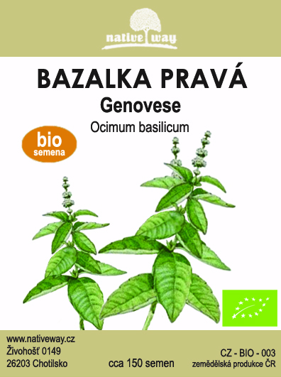 Nativeway bazalka genovese