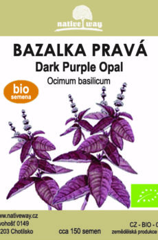 Nativeway bazalka purple seminka